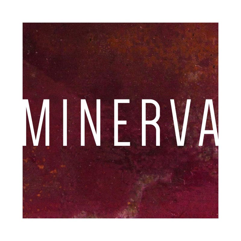 Minerva MAteria R/Ossi di Seppia