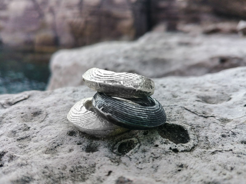 Gioielli ossi di seppia