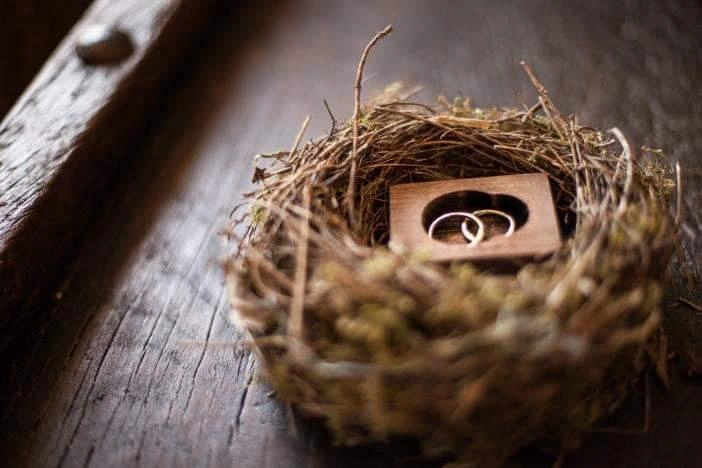 Fedi nuziali particolari con texture